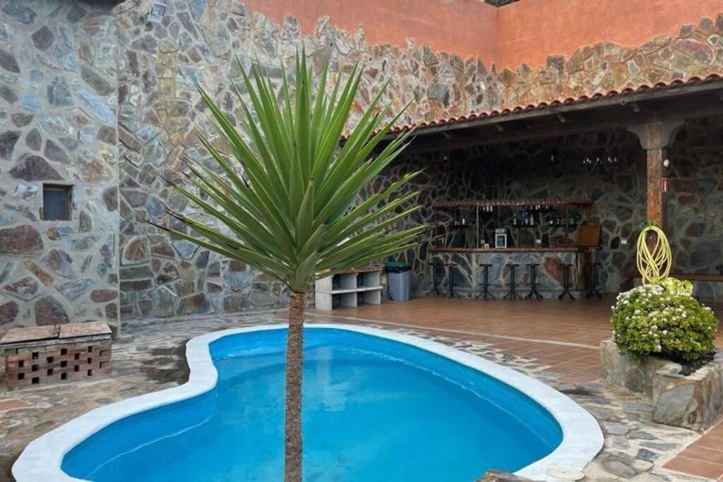 Bonanza Las Palmas de Gran Canaria